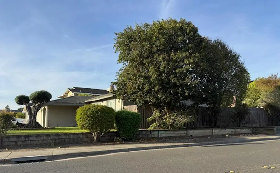 4409 Darwin Drive, Fremont, CA 94555 - #3