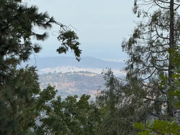 0 Pine Ridge Drive, Brownsville, CA 95919