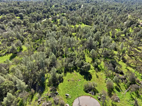 4251 Burl Drive, Mariposa, CA 95338