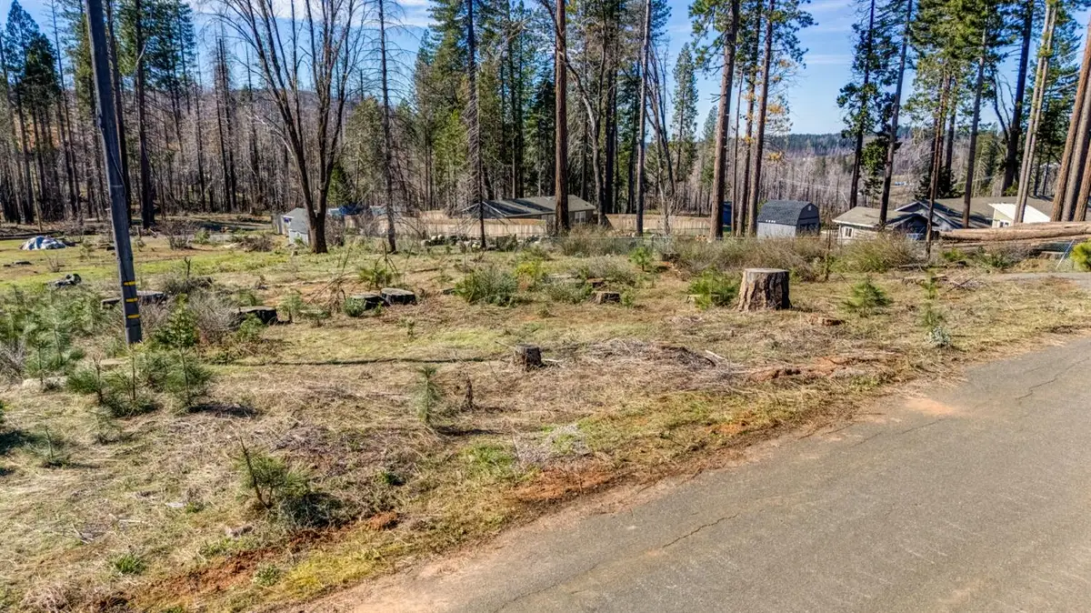 7591 Winding Way, Grizzly Flats, CA 95636 - #1