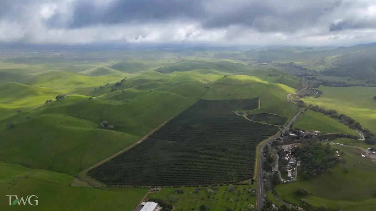 18615 Marsh Creek Road, Brentwood, CA 94513 - #1