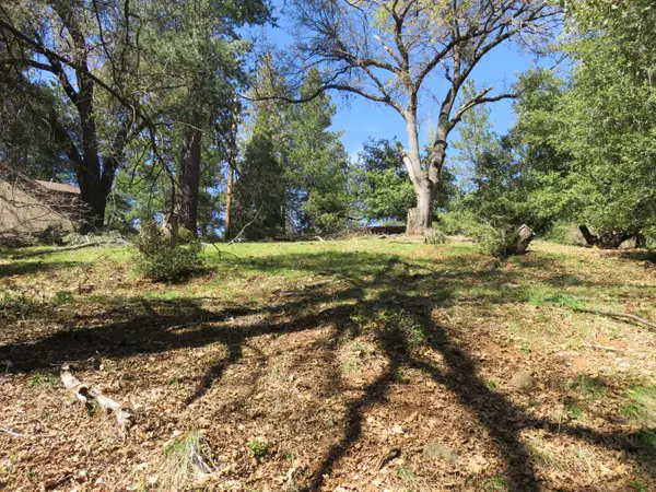 16670 Delores Court, Pioneer, CA 95666