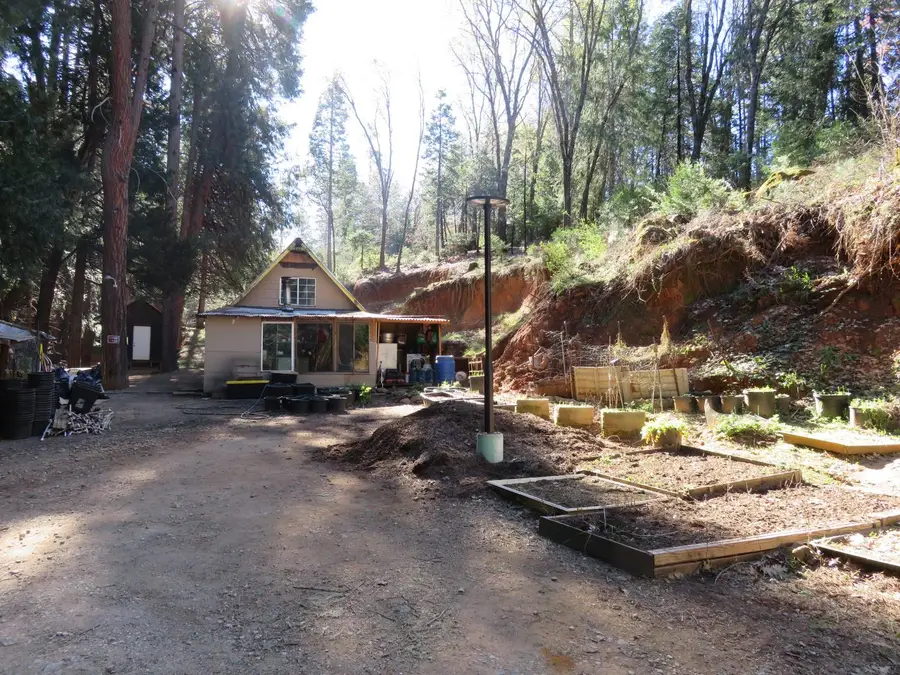 1360 Argonaut Lane, West Point, CA 95255 - #3