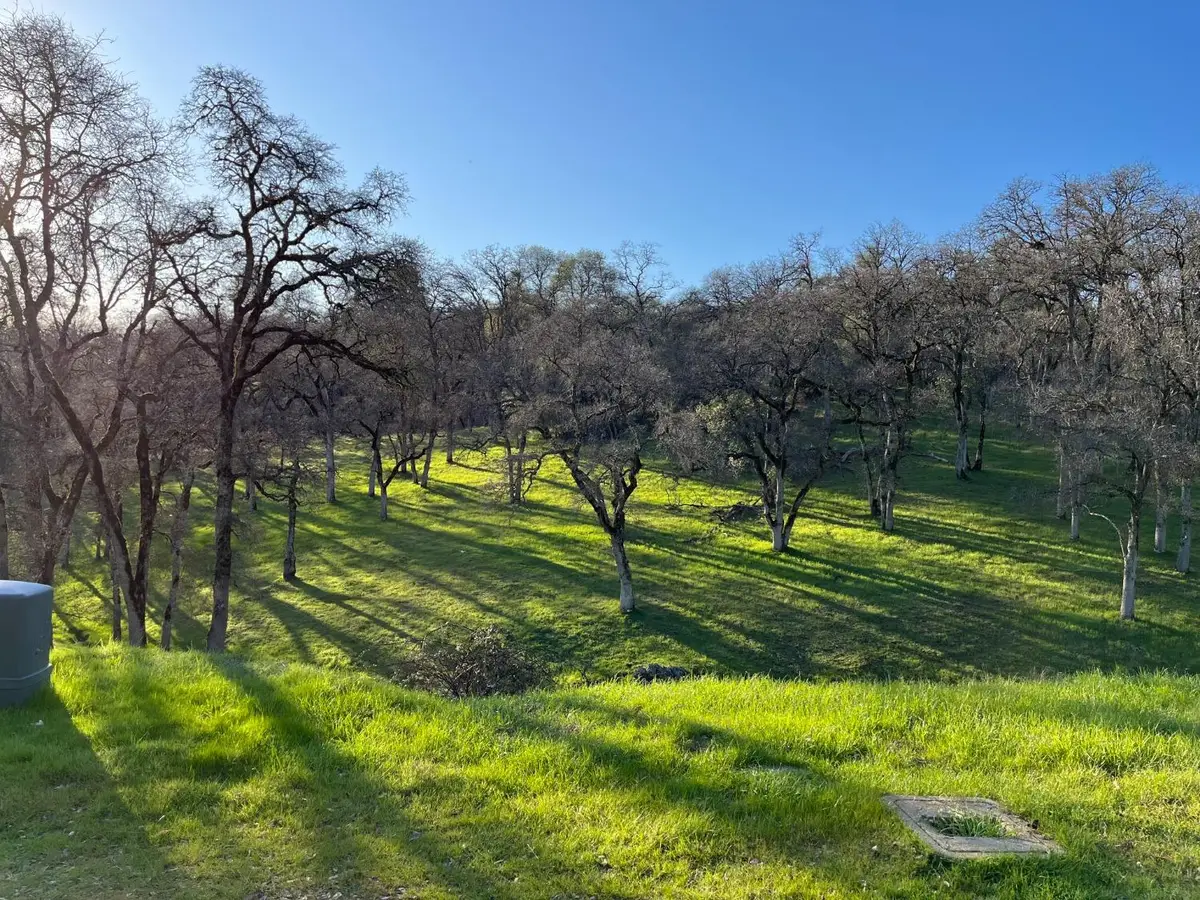 23288 Darkhorse Drive, Auburn, CA 95602 - #1