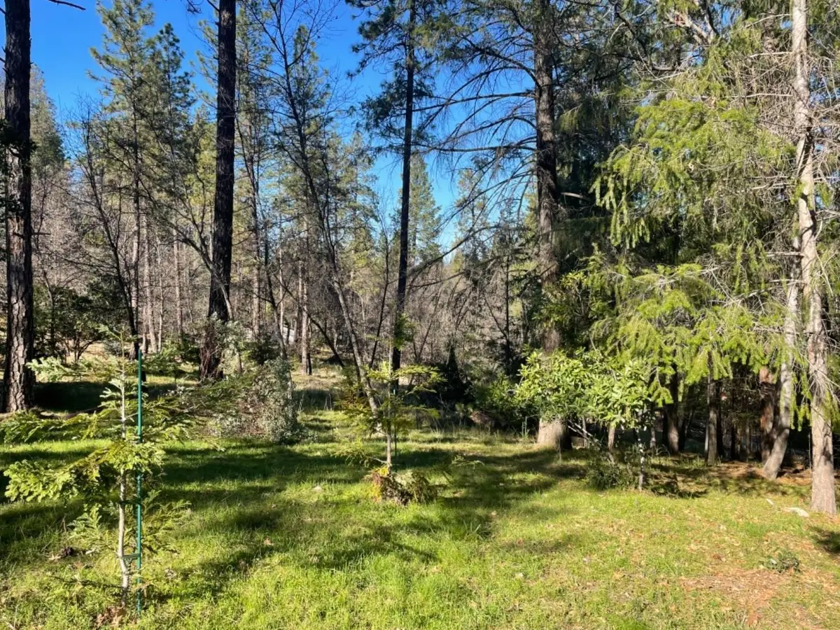 1575 Ridgemore Drive, Meadow Vista, CA 95722 - #1