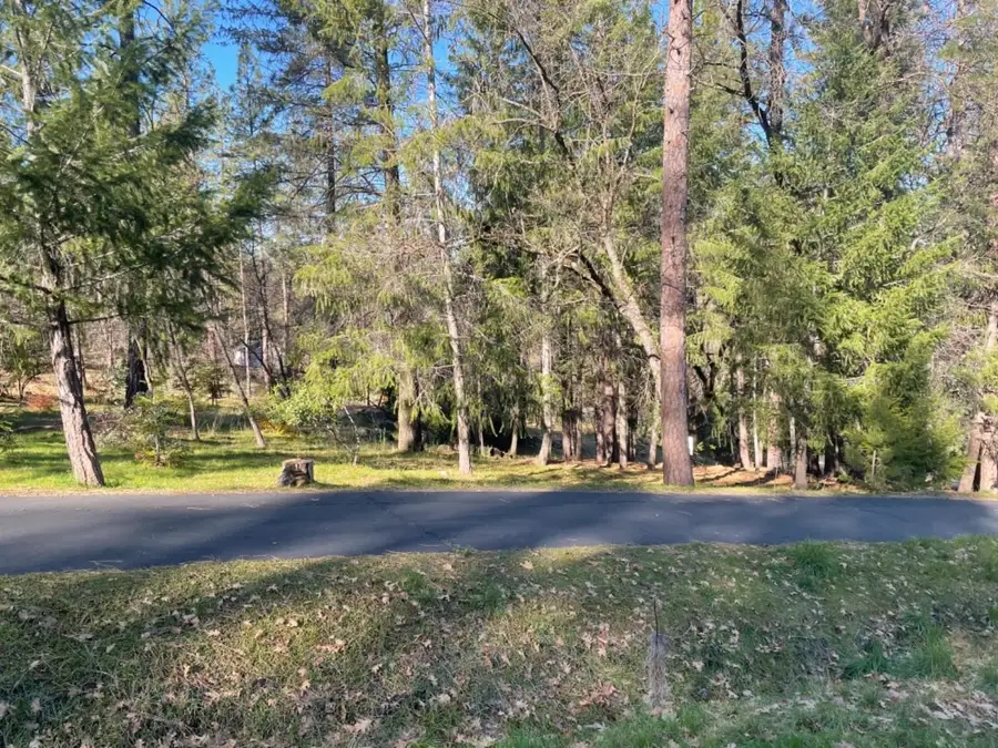 1575 Ridgemore Drive, Meadow Vista, CA 95722 - #2