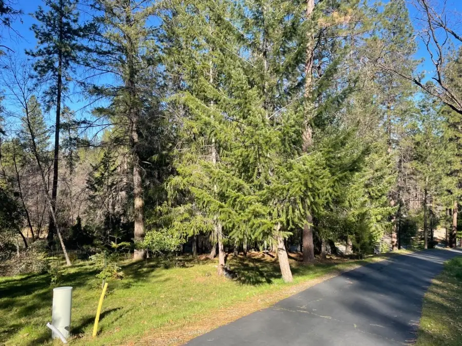 1575 Ridgemore Drive, Meadow Vista, CA 95722 - #3