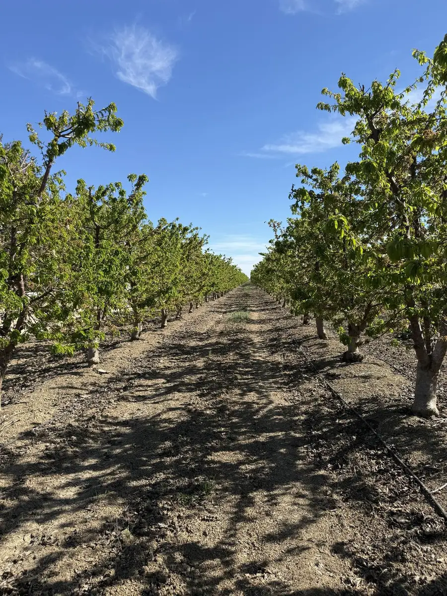 1424 Eucalyptus Avenue, Patterson, CA 95363 - #3