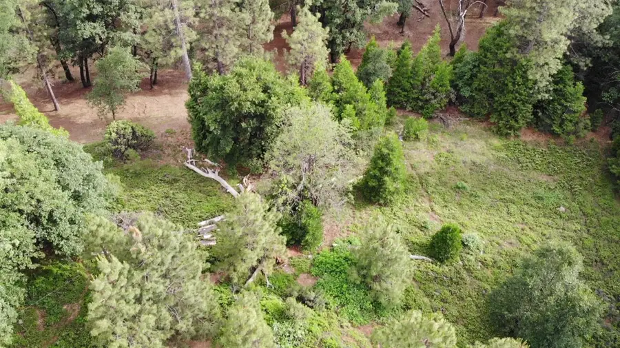 0 Slalom Lane, Pollock Pines, CA 95726 - #3