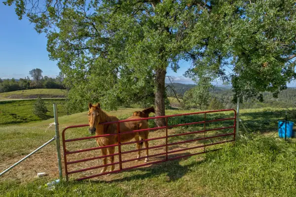 0 Trembath Mtn Rd, Sutter Creek, CA 95685