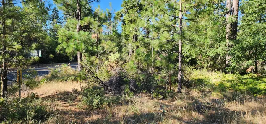 8671 La Porte Road, Brownsville, CA 95919 - #3