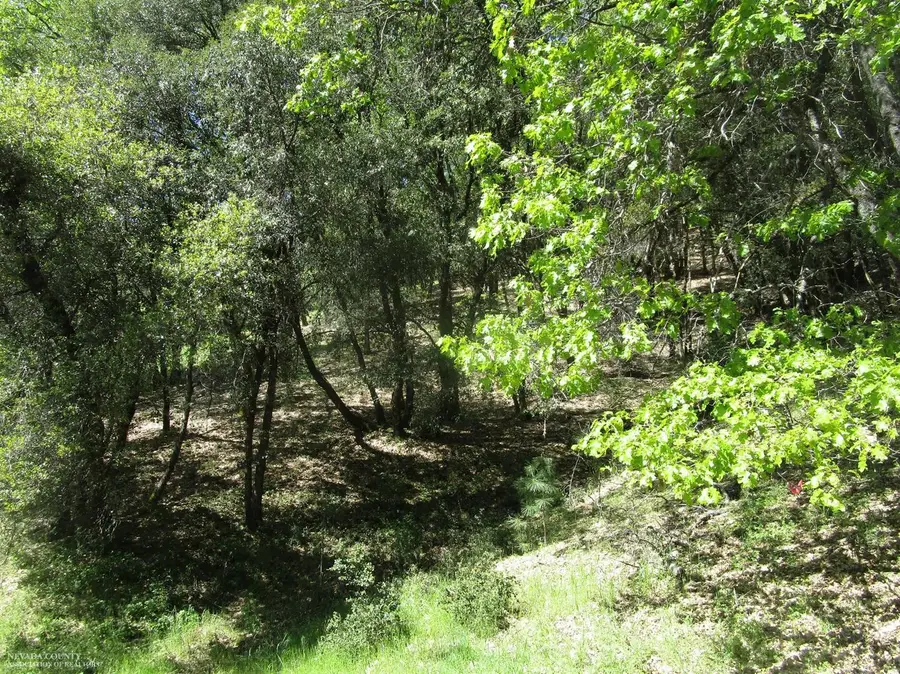 16172 Annie Drive, Grass Valley, CA 95949 - #3