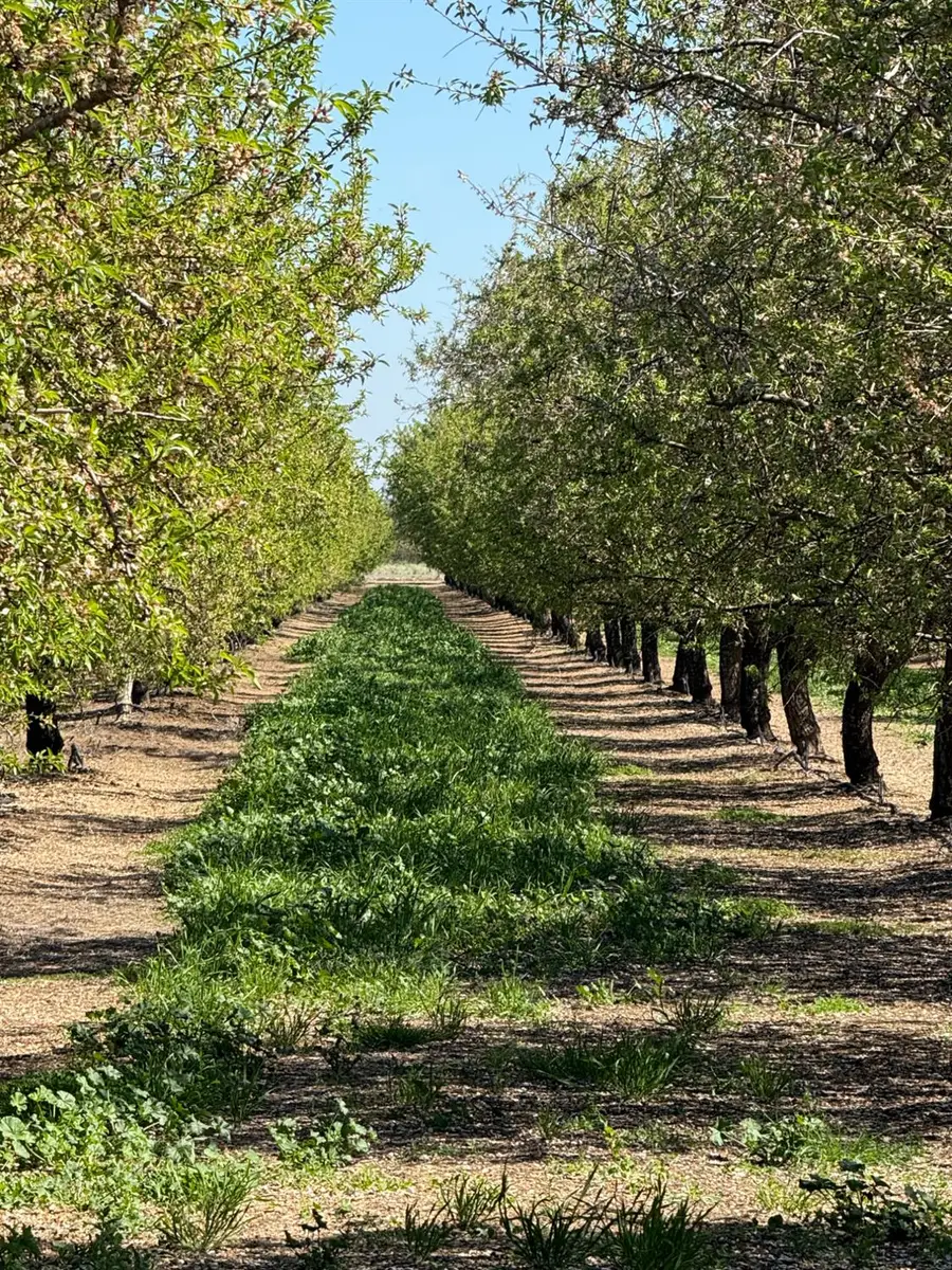 6009 Whitworth Road, Gustine, CA 95360 - #2