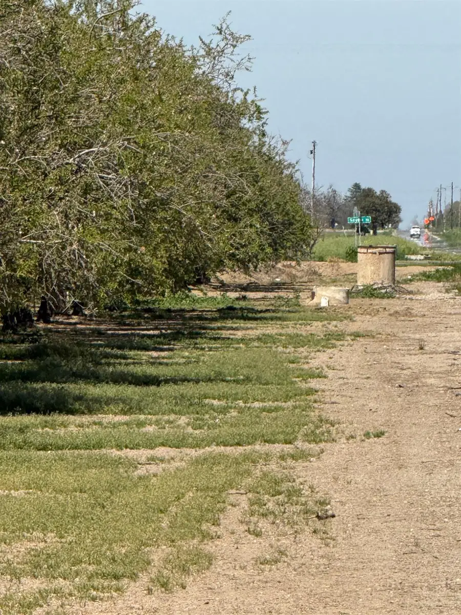 6009 Whitworth Road, Gustine, CA 95360 - #3