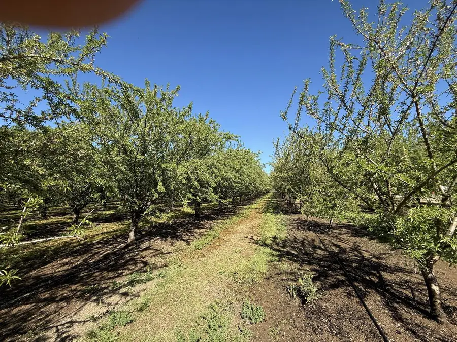 1613 Fig Avenue, Patterson, CA 95363 - #3