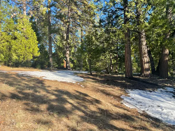 2798 Fairway Drive, Arnold, CA 95223