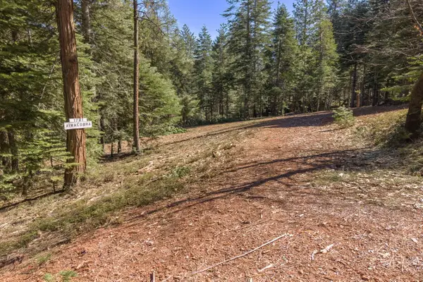 0 1781 Airacobra Avenue, Arnold, CA 95223