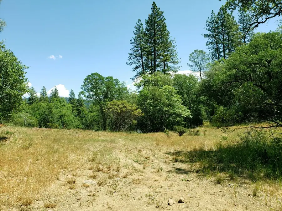 13903 Ingersoll Drive, Dobbins, CA 95935 - #3