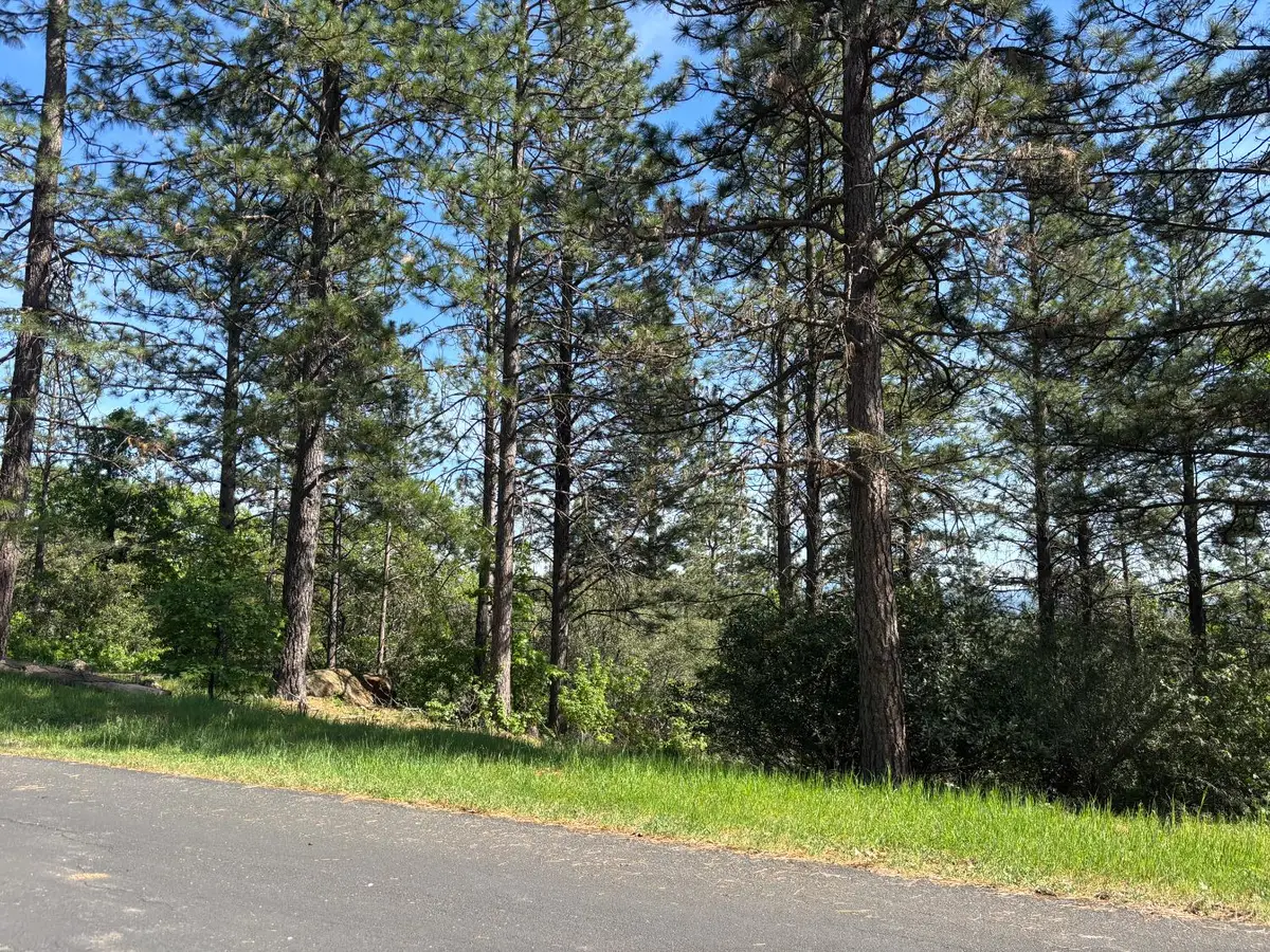 4135 Ampezo Place, Foresthill, CA 95631 - #1