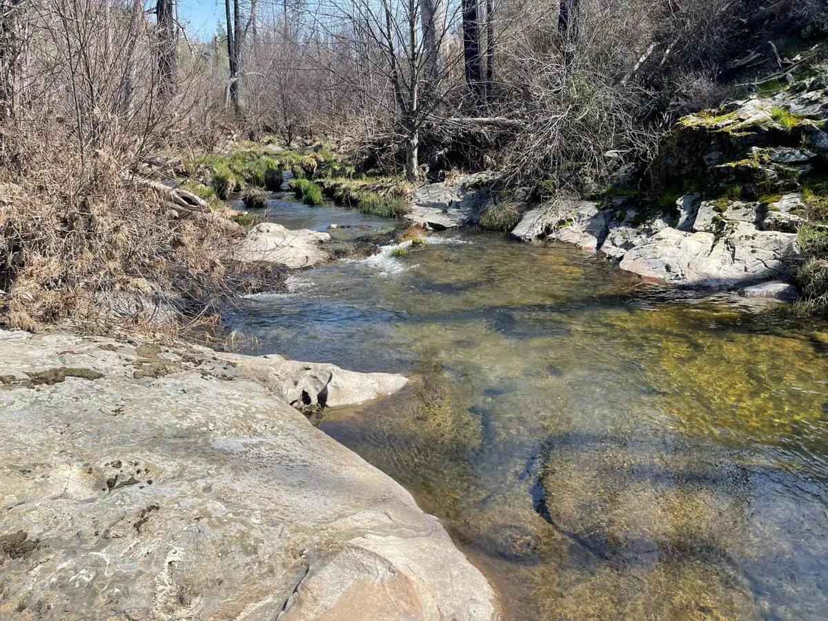 7602 Old Emigrant Trail W, Mountain Ranch, CA 95246 - #1