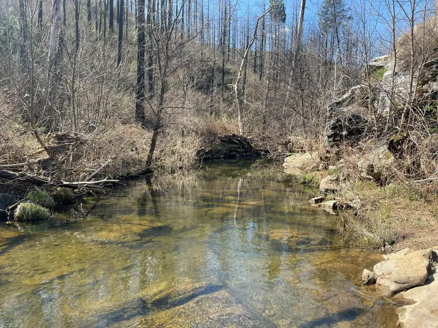 7602 Old Emigrant Trail W, Mountain Ranch, CA 95246 - #2