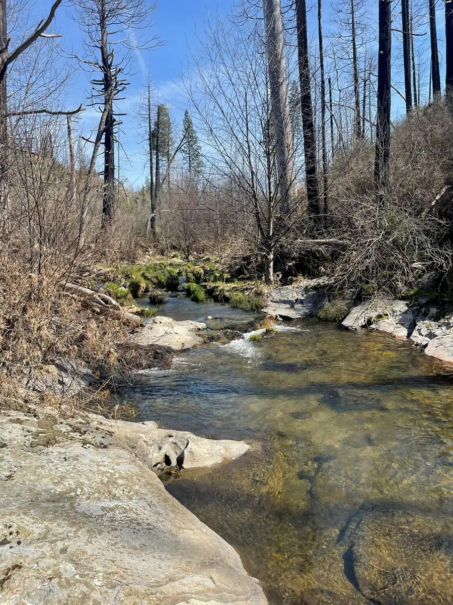 7602 Old Emigrant Trail W, Mountain Ranch, CA 95246 - #3