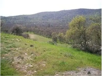 711 Hawkridge Road, Copperopolis, CA 95228