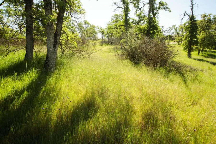 1058 Salinas Street, La Grange, CA 95329 - #3