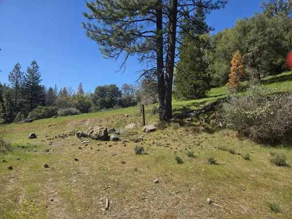 23724 Van De Hei Rd., Pioneer, CA 95666