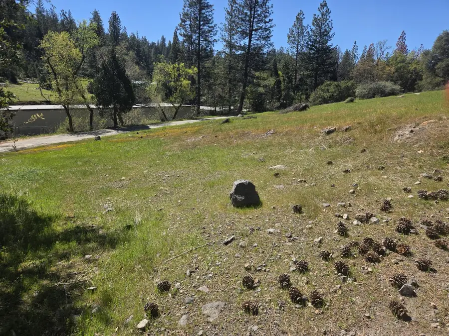 23724 Van De Hei Rd., Pioneer, CA 95666 - #2