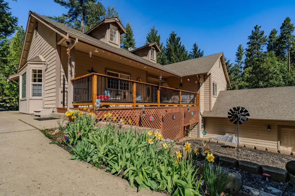 16111 Pioneer Creek Road, Pioneer, CA 95666 - #1