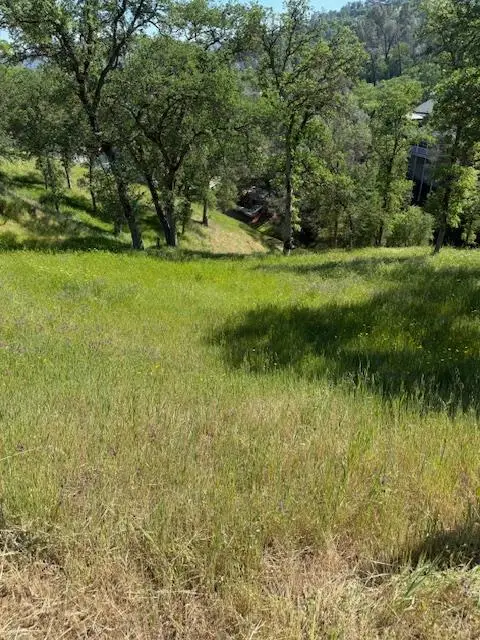 4319 Tomahawk Trail, Copperopolis, CA 95228 - #2