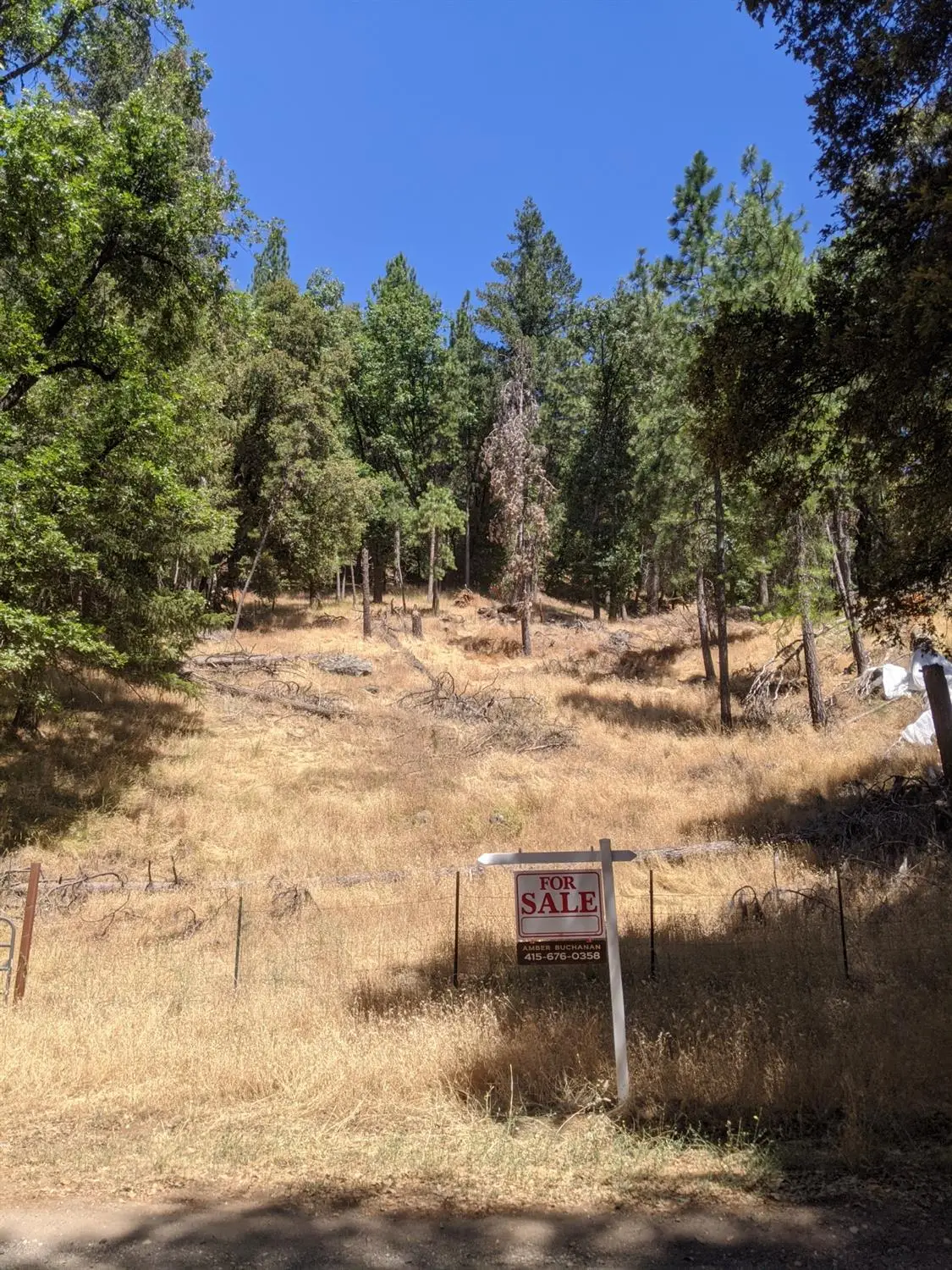 17721 Knoll Top Drive, Grass Valley, CA 95945 - #1
