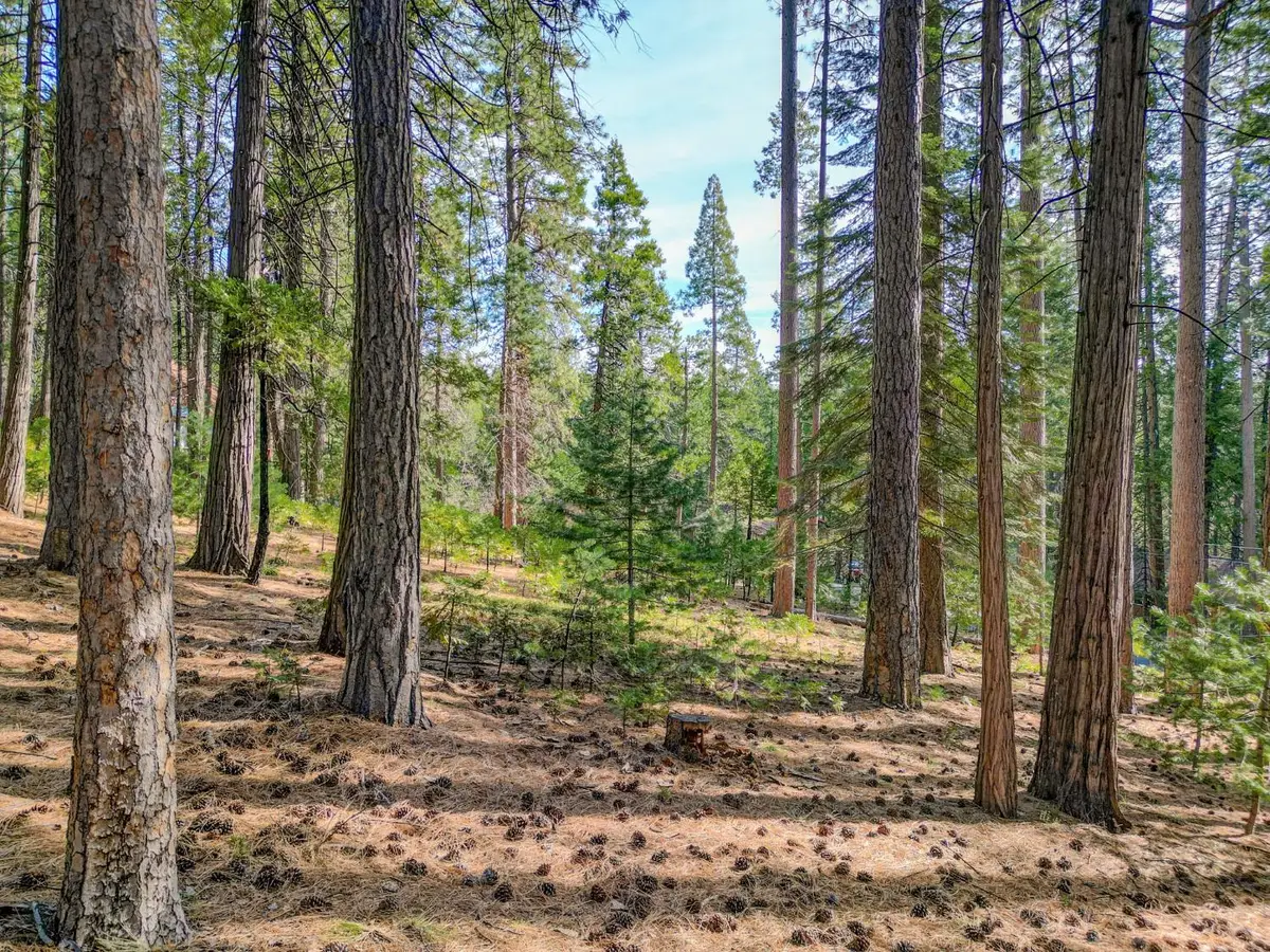 2625 Linnet Lane, Arnold, CA 95223 - #1