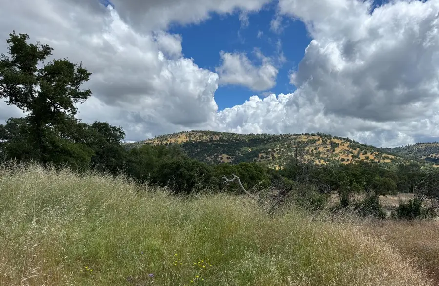 7 Wades Way, Browns Valley, CA 95918 - #3