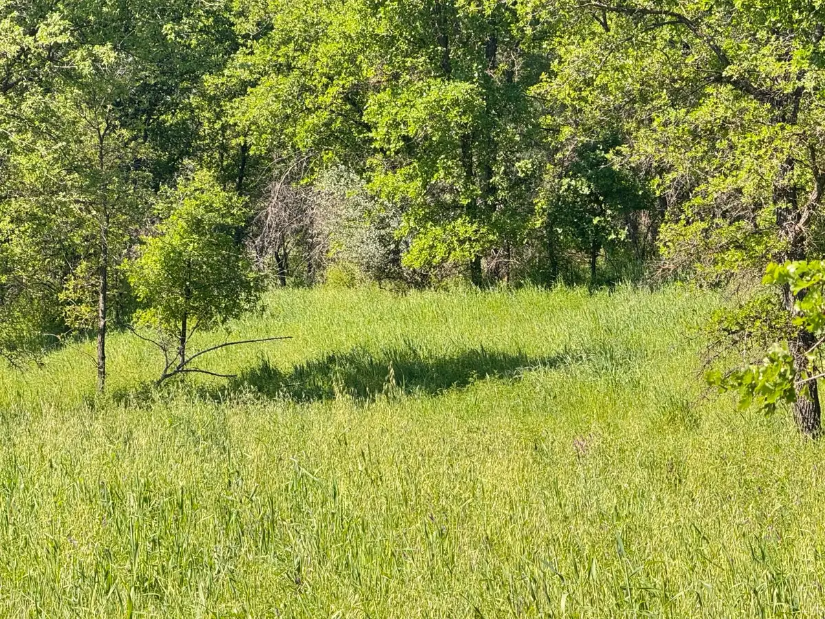 0 Hwy 16, Guinda, CA 95606 - #1