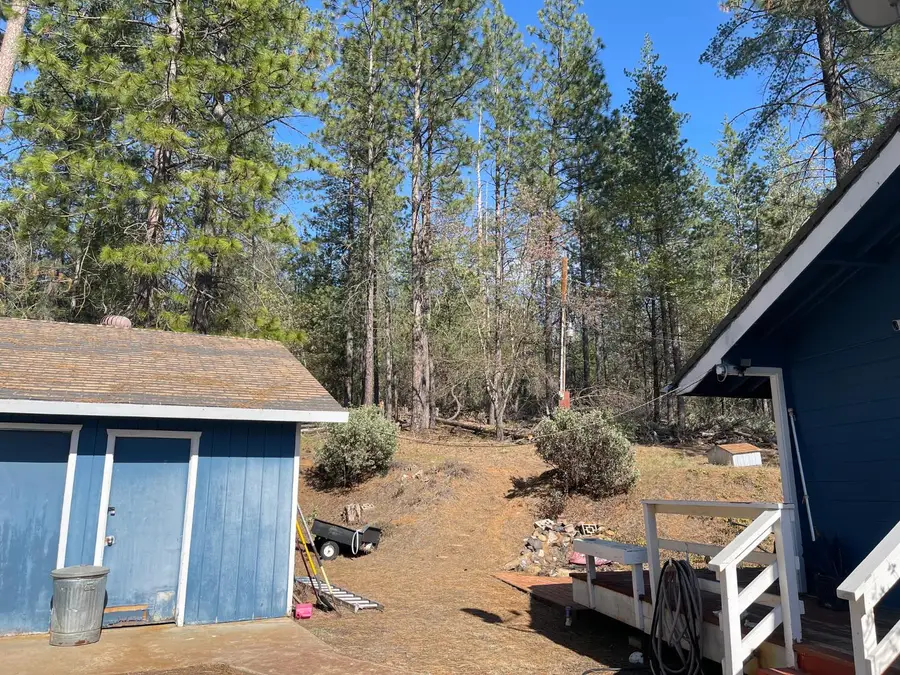 10658 Dexter Road, Coulterville, CA 95311 - #3