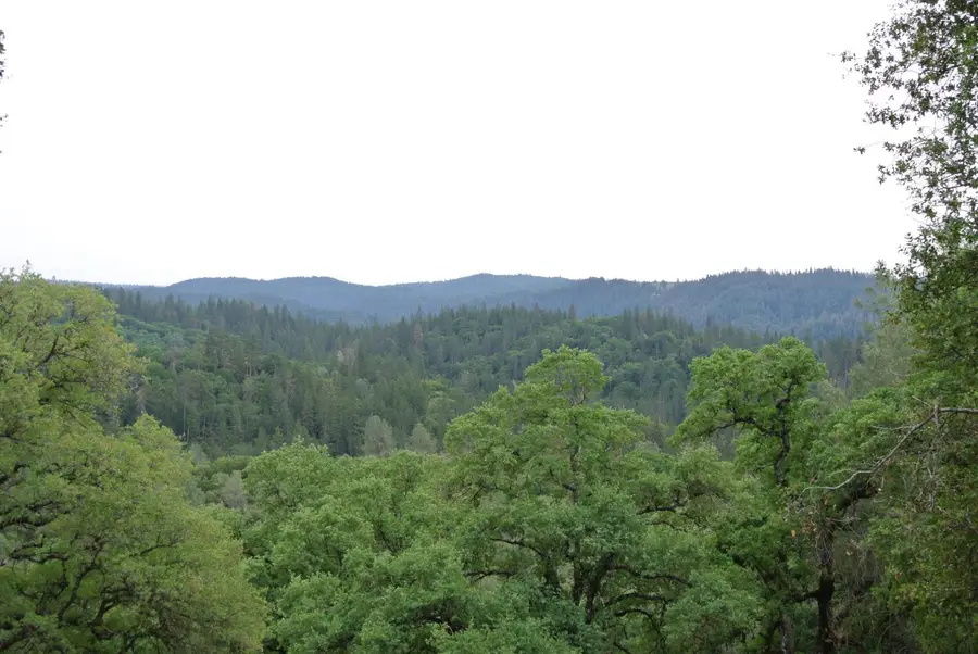 6385 Mckeon Ponderosa Way, Foresthill, CA 95631 - #3