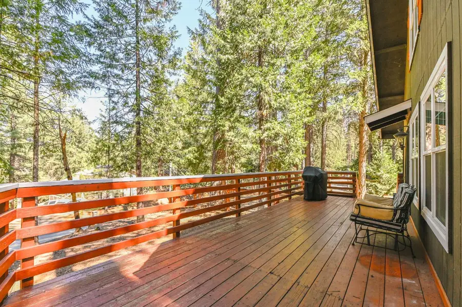 18190 N Meadow Drive, Pioneer, CA 95666 - #2