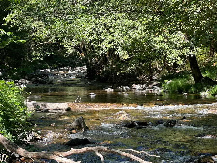 18635 Highway 26, Glencoe, CA 95232 - #3