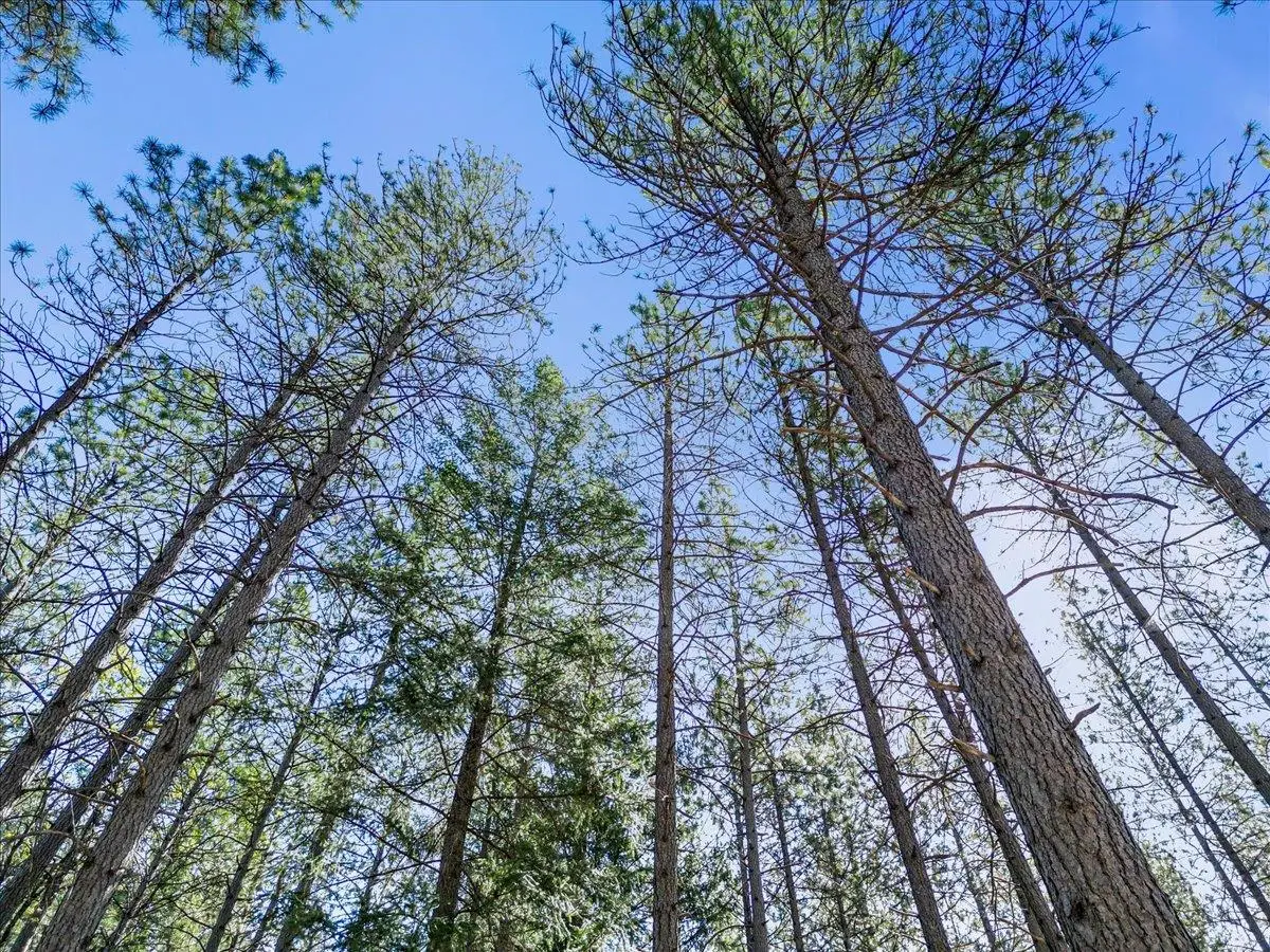 6400 Shoo Fly Road, Placerville, CA 95667 - #1