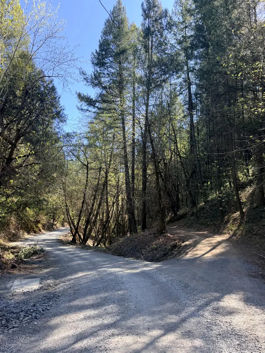 6400 Shoo Fly Road, Placerville, CA 95667 - #3