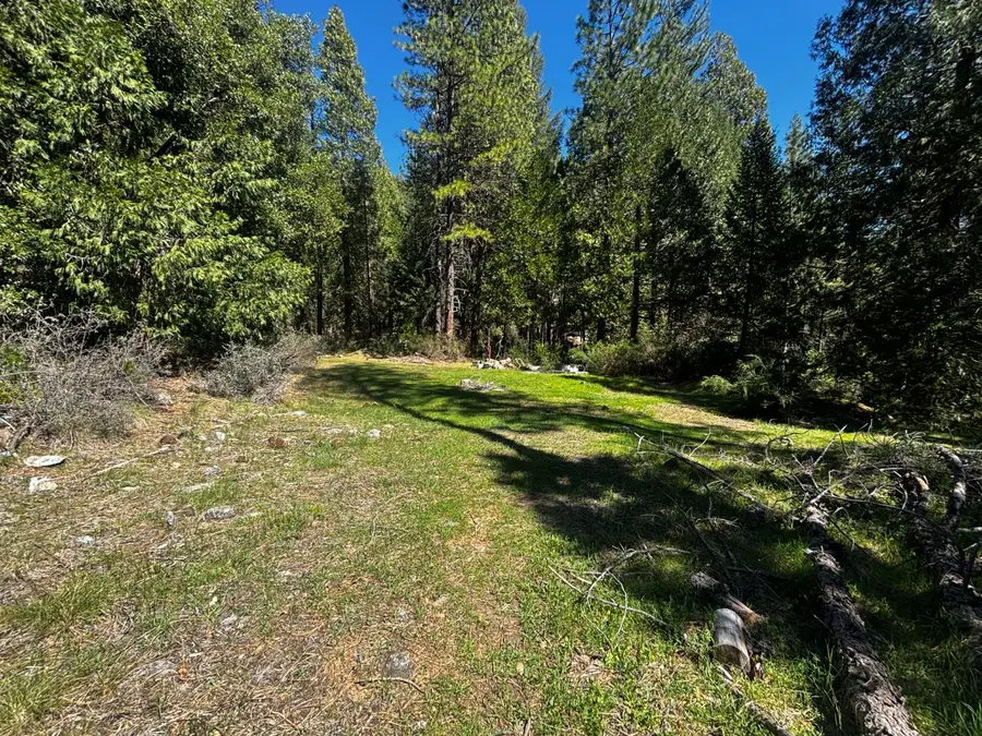 30927 Relief Hill Road, Nevada City, CA 95959 - #3