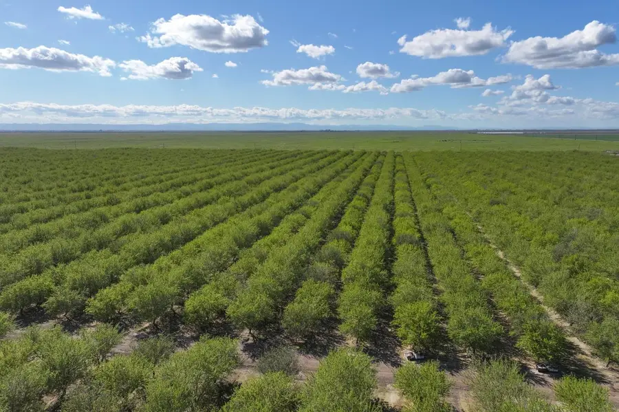 11885 Road 9, Madera, CA 93637 - #3