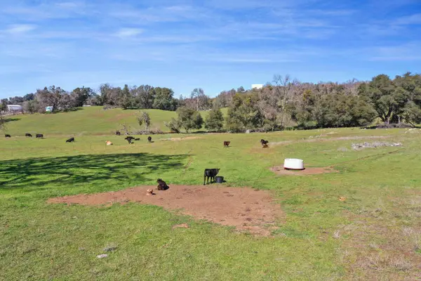 1229 W Murray Creek Road, San Andreas, CA 95249