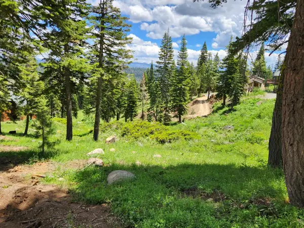 350 Snowshoe Road, Bear Valley, CA 95223