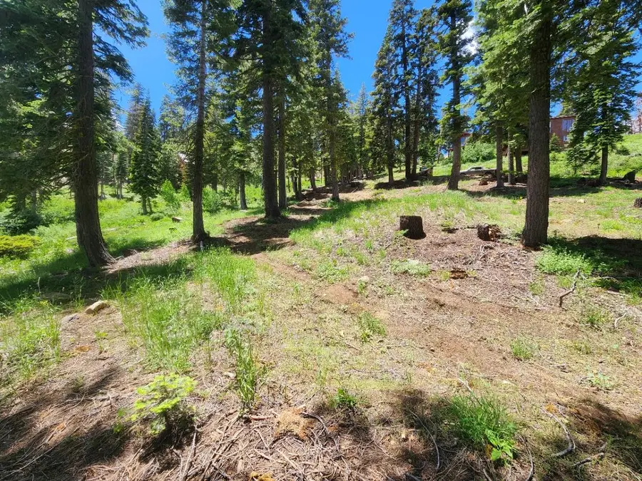 350 Snowshoe Road, Bear Valley, CA 95223 - #2