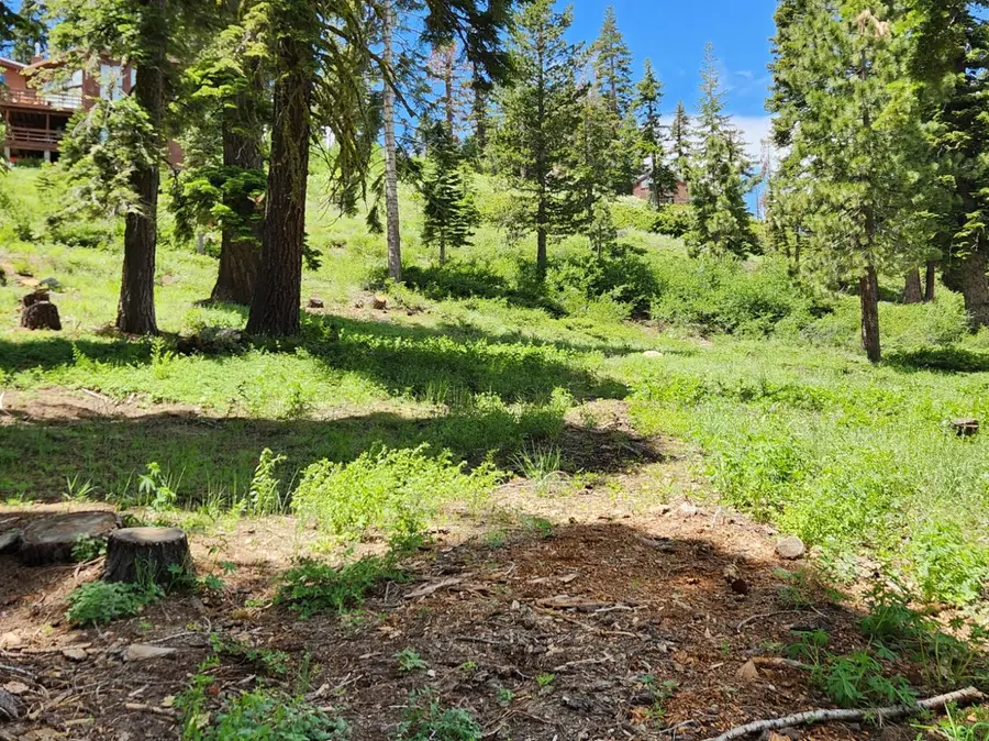 350 Snowshoe Road, Bear Valley, CA 95223 - #3