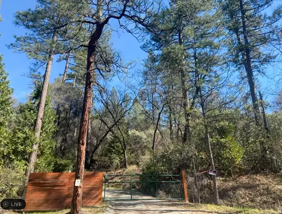 10075 Grub Creek Drive, Rough And Ready, CA 95975 - #3