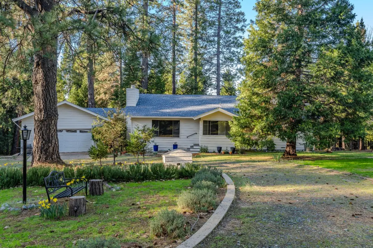 22401 Shake Ridge Road, Volcano, CA 95689 - #1
